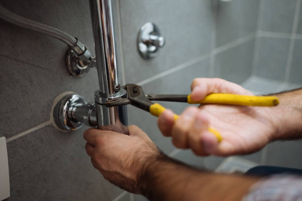 Best Sewer Line Repair  in Cedaredge, CO