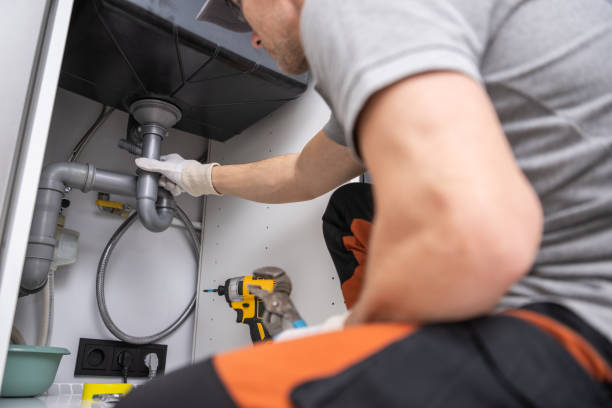Best Plumbing Inspection Services  in Cedaredge, CO